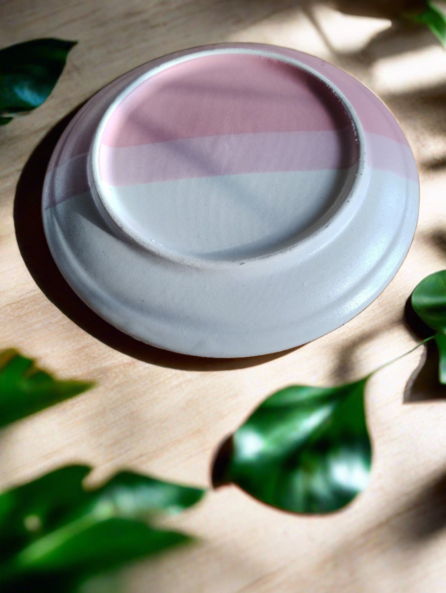 Pink Stripped Plates (Pack of 2)