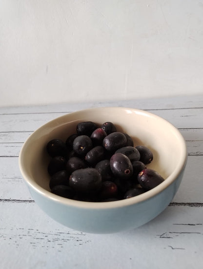Sky Blue Snack Bowl
